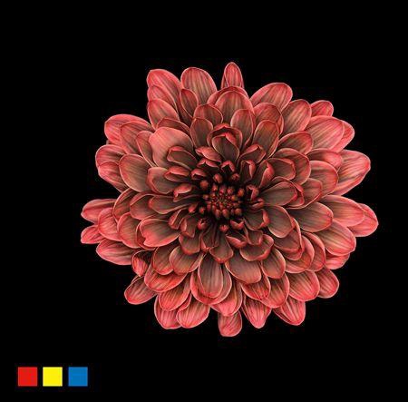 <h4>Chr T Altaj Bandito</h4>