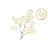 Silk Ginkgo White 130cm Nm