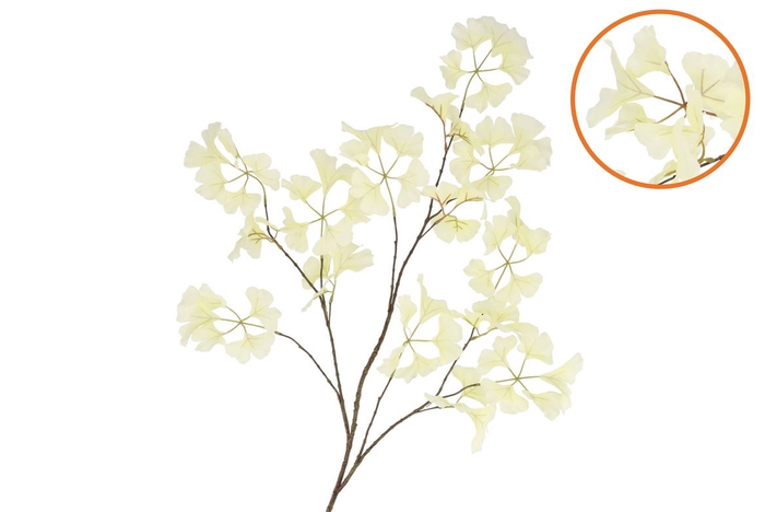 <h4>Silk Ginkgo Leaf White 130cm</h4>