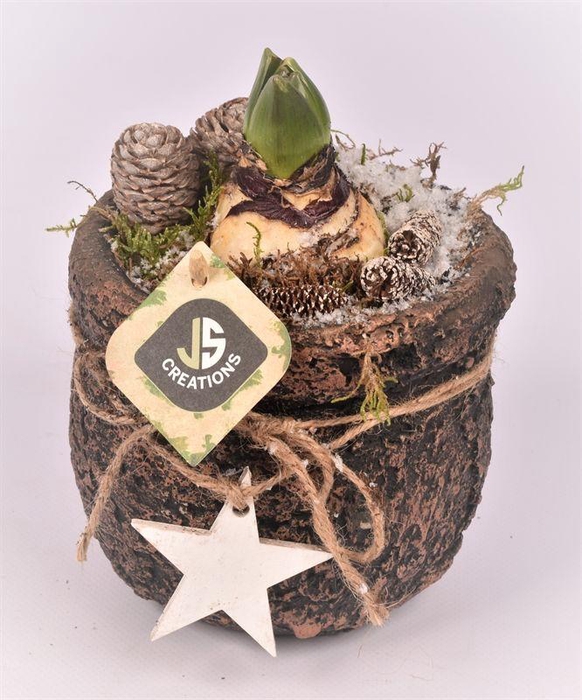 <h4>Cement robust met ster 10,5cm</h4>