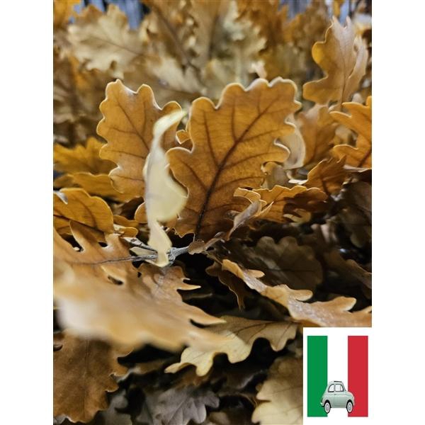 <h4>GESTABILISEERD EIK GEEL</h4>