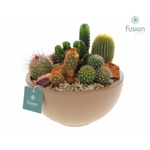 Schaal keramiek Moon Medium beige met Cactussen