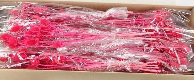 <h4>DF Dipsacus Cerise Bs 130g</h4>
