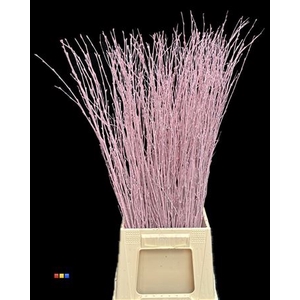 Betula / Berkentak Light Pink