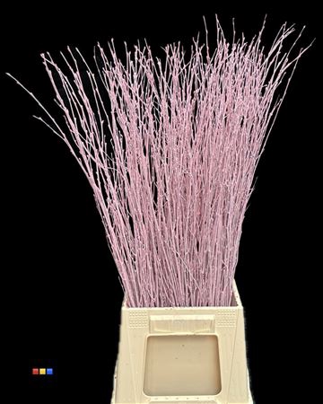 <h4>Berkentak Light Pink</h4>