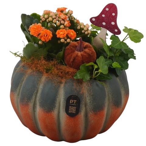 <h4>PTHI3258 Arrangement Autumn Indoor in beton pot</h4>