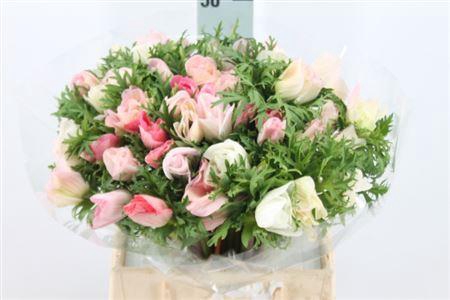 <h4>Anemone Mistral Super Light Pink</h4>