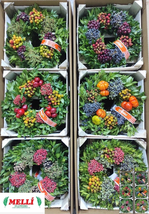 <h4>SIERFRUIT KRANS H%</h4>