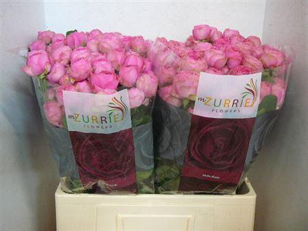 <h4>R Tr Giselle!</h4>