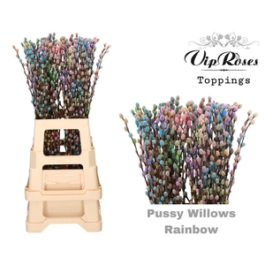 Salix DYED Rainbow Mix