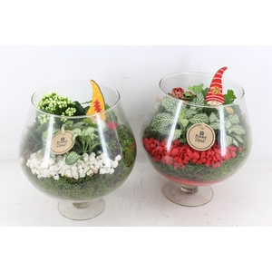 arr2 PL - Glas cognac - rood/wit