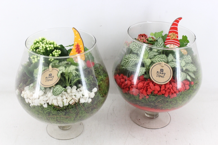 <h4>arr2 PL - Glas cognac - rood/wit</h4>