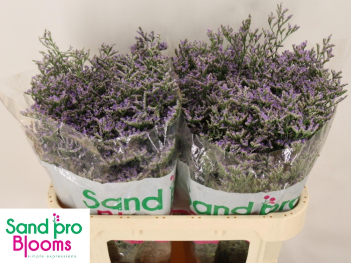 <h4>LIM OV SKYLIGHT</h4>