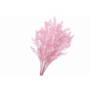 Dried Bleached Ruscus Light Pink