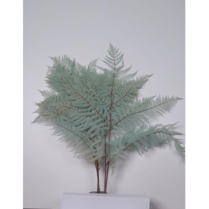 GESTABILISEERD VAREN LICHTBLAUW