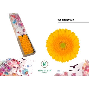 GE MI Springtime doos