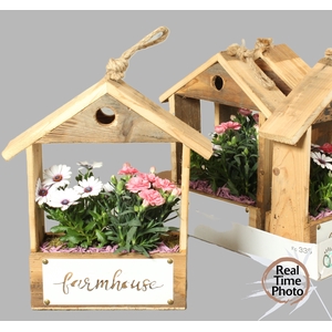 ARR TUINPLANTEN