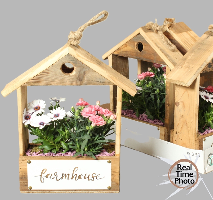 <h4>ARR TUINPLANTEN</h4>
