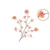 Silk Cherry Blossom Peach 126cm