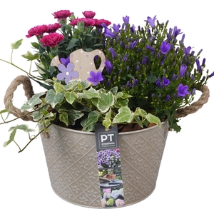 PTPP6896 Arrangement Patio in metalen schaal