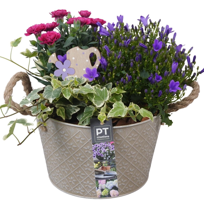 <h4>PTPP6896 Arrangement Patio in metalen schaal</h4>