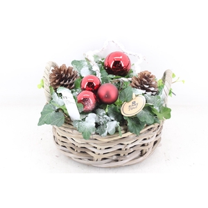 arr2 PL - Kubu schaal hedera rood