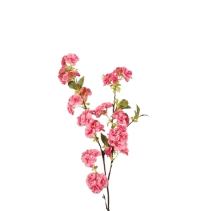 Prunus 110cm