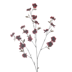 Af Cherry Blossom X7 L97cm Red