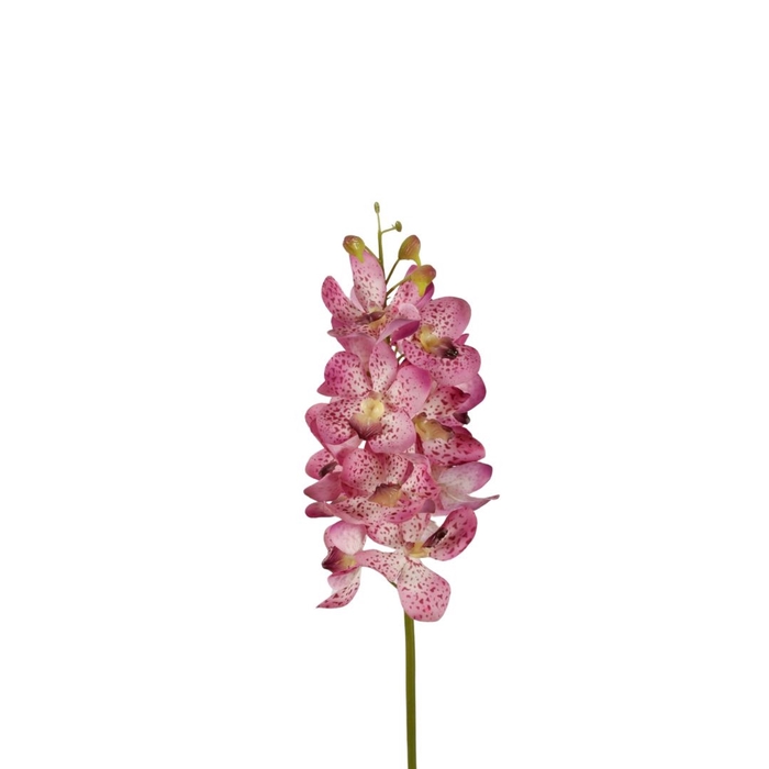 Artificial flowers Orchid Vanda 70cm