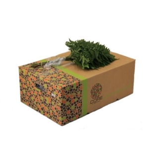 LEDERVAREN JUNIOR CORE