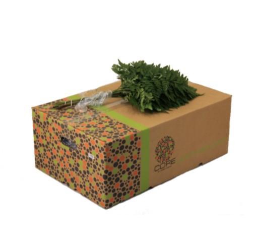 <h4>LEDERVAREN JUNIOR CORE</h4>