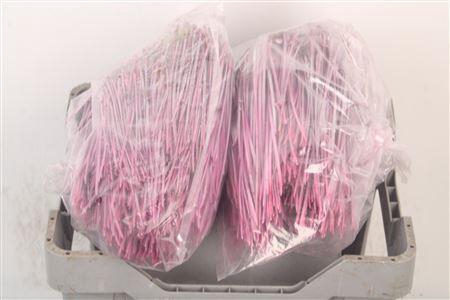 <h4>Pineneedles Pink Metallic Bag</h4>