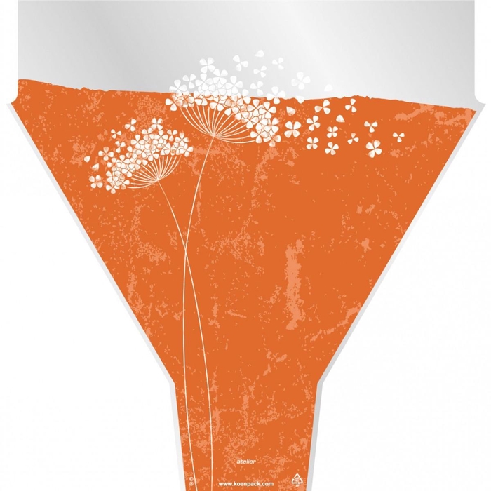 <h4>Flower Wishes 50*35*10cm x50</h4>