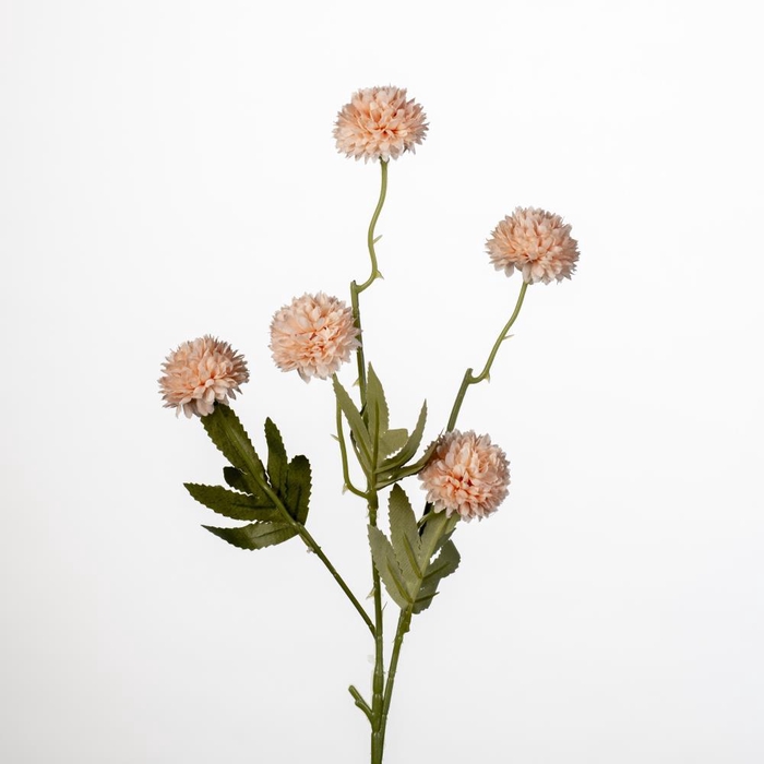 <h4>AF Gompy spray x5 L51cm peach</h4>