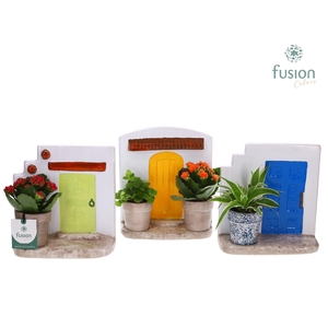 Terracotta Muurplanter met Arrangement