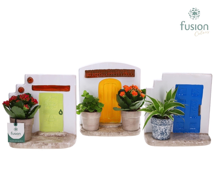 <h4>Terracotta Muurplanter met Arrangement</h4>