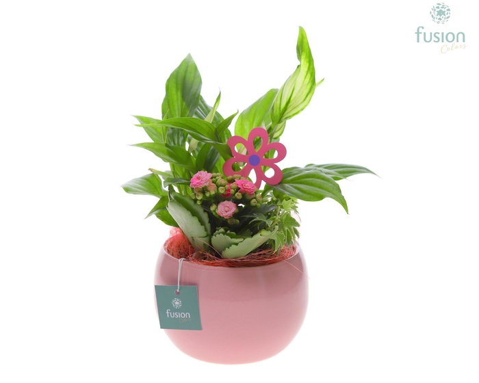 <h4>Keramiek pot met Moederdag arrangement</h4>
