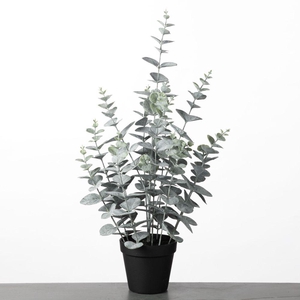 AF Eucalyptus pot H58cm Green