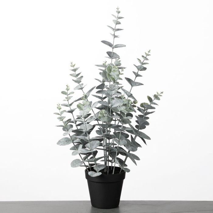 <h4>AF Eucalyptus pot H58cm Green</h4>