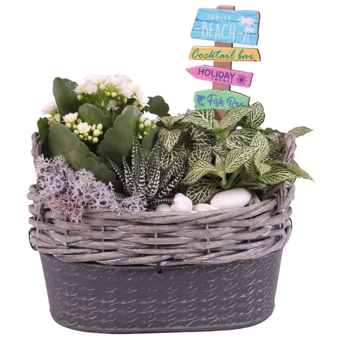 <h4>Opm Maritime Arr. Indoor Willow Basket Oval Zinc B</h4>