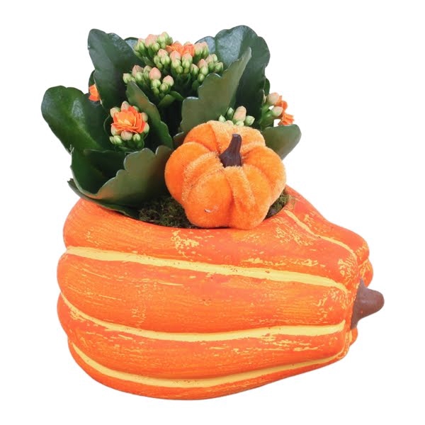 <h4>Autumn Arr. Indoor Ceramic Pumpkin Pot Ø12cm 1PP</h4>