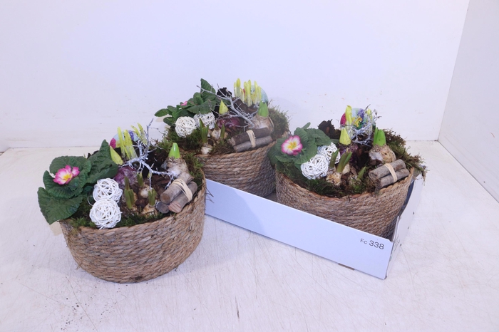 <h4>ARR TUINPLANTEN</h4>