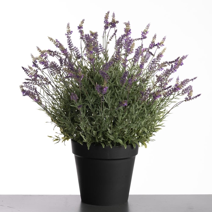 Af Lavender Pot H76cm Purple