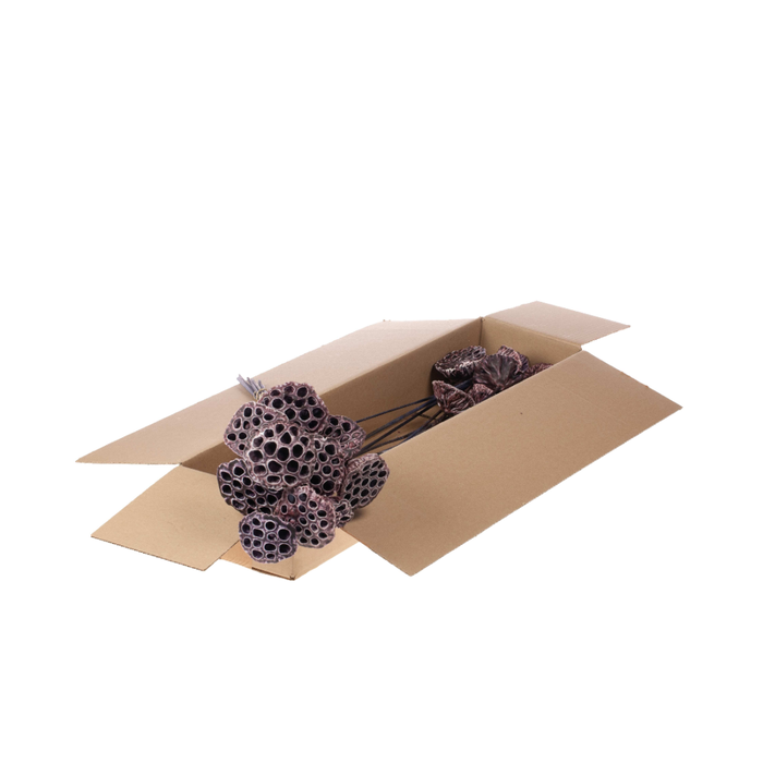 <h4>Lotus Medium O/s Wax 10pc Sb Wax Purple</h4>