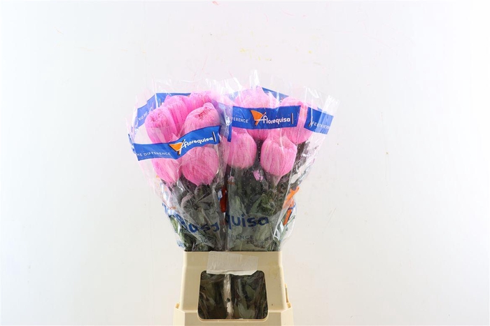 <h4>Chr G Kbh Tinted Pink</h4>