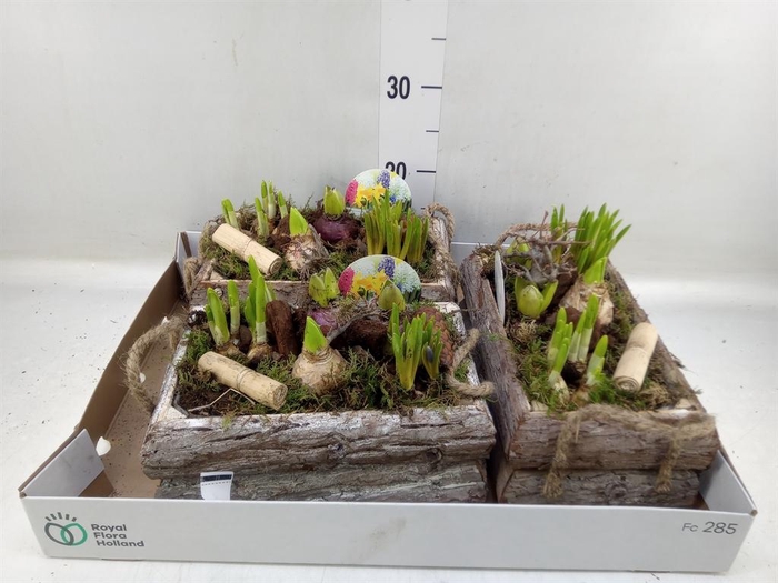 <h4>Arr. Bol/Knolgewas L%</h4>