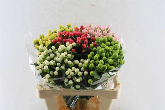 <h4>Hyp Coco Gemengd In Pak</h4>