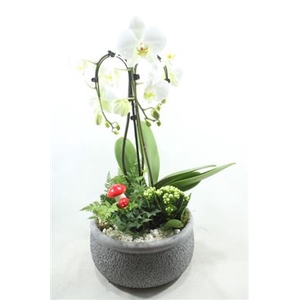 3082 PARAPLU KER GREY