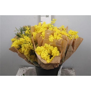 Acacia Mirandol Per Bunch 200 Gram