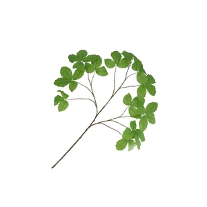 Silk Leaf Chestnut Green 135cm Nm